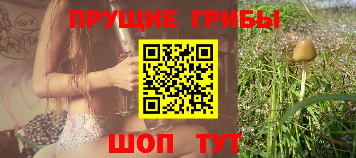 Соликамск  Галлюциногенные грибы прущие грибы  Вход с VPN  Галлюциногенные грибы ЛСД 
